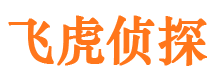 龙安私人侦探